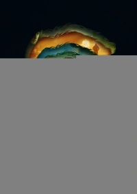 Петровы в гриппе (2020)