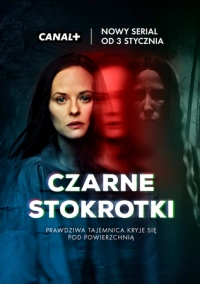 Чёрные маргаритки (2024)