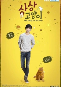 Воображаемая кошка (2015)