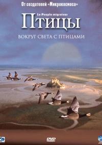 Птицы (2001)