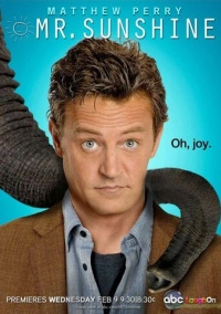 Мистер Саншайн (2011)