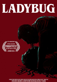 Божья коровка (2024)