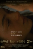 Пальмы и линии электропередач (2022)