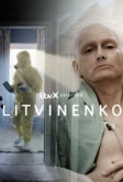 Литвиненко (2022)