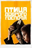 Птица доброго господа (2020)