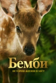 Бемби. История жизни в лесу (2024)