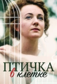 Птичка в клетке (2020)