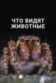 Что видят животные (2018)