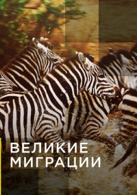 Великие миграции (2010)