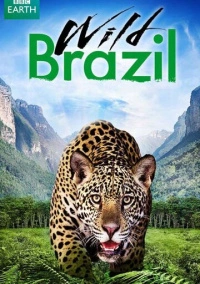 Дикая Бразилия (2014)