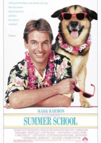 Летняя школа (1987)