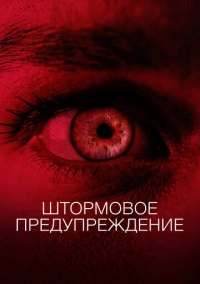Штормовое предупреждение (2020)