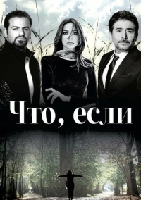 Что, если (2014)