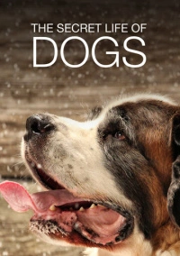 Тайная жизнь собак (2017)