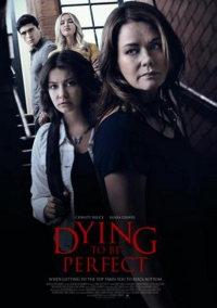 Цена совершенства (2022)