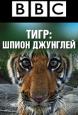 BBC: Тигр – шпион джунглей (2008)
