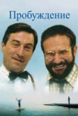 Пробуждение (1990)