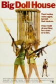 Дом большой куклы (1971)