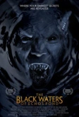 Черные воды Эха (2009)