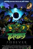 Черепашки навсегда (2009)