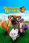 Реальная белка 2 (2017)
