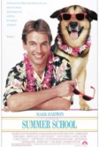 Летняя школа (1987)