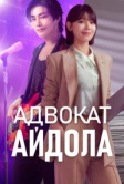 Адвокат айдола (2025)