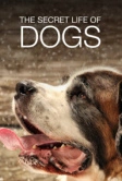Тайная жизнь собак (2017)