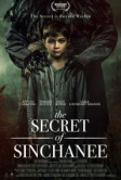 Тайна Синчани (2021)