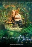 Сон в летнюю ночь (2016)