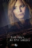 Десять дней в долине (2017)
