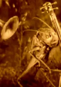 Веселые сценки из жизни животных (1912)