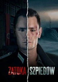Шпионский залив (2024)