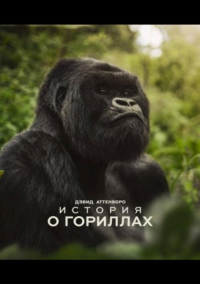 Дэвид Аттенборо. История о гориллах (2026)