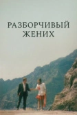 Разборчивый жених (1993)