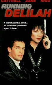 Специальный агент Дилайла (1993)