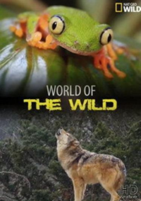 World of the Wild