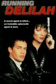 Специальный агент Дилайла (1993)