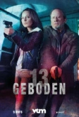 13 заповедей (2017)