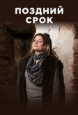 Поздний срок (2019)