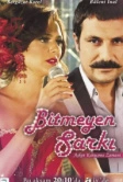 Недопетая песня (2010)