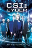 CSI: Киберпространство (2015)