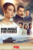 Шторм ласточки (2017)