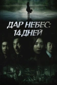 Дар небес: 14 дней (2014)