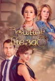 Осиное гнездо (2016)