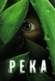 Река (2012)