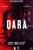 QARA: Свидетель (2026)